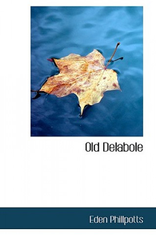 Old Delabole