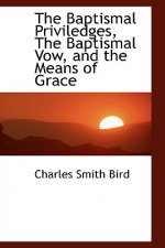 Baptismal Priviledges, the Baptismal Vow, and the Means of Grace