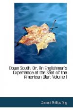 Down South, Or, an Englishman's Experience at the Seat of the American War, Volume I