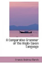 Comparative Grammar of the Anglo-Saxon Language