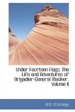 Under Fourteen Flags; The Life and Adventures of Brigadier-General Maciver, Volume II