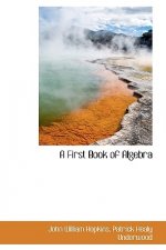 First Book of Algebra