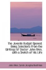 Juvenile Budget Opened