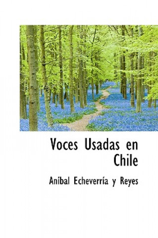 Voces Usadas En Chile