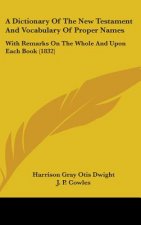 Dictionary Of The New Testament And Vocabulary Of Proper Names
