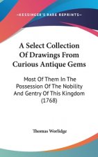 Select Collection Of Drawings From Curious Antique Gems