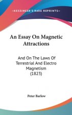 Essay On Magnetic Attractions