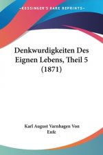 Denkwurdigkeiten Des Eignen Lebens, Theil 5 (1871)