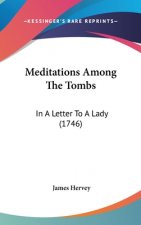 Meditations Among The Tombs