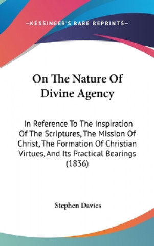 On The Nature Of Divine Agency