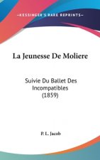 Jeunesse De Moliere