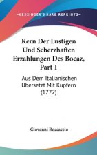 Kern Der Lustigen Und Scherzhaften Erzahlungen Des Bocaz