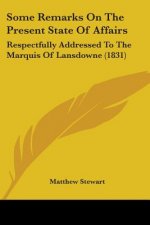 Some Remarks On The Present State Of Affairs