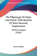 Pilgrimage Of Adam And David, With Sketches Of Their Heavenly Employment