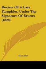 Review Of A Late Pamphlet, Under The Signature Of Brutus (1828)
