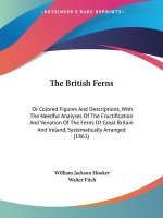 British Ferns