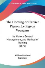 Homing Or Carrier Pigeon, Le Pigeon Voyageur