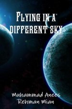 Flying in a Different Sky