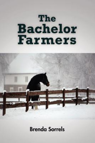 Bachelor Farmers