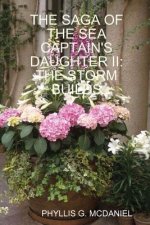 Saga of the Sea Captain's Daughter II: the Storm Builds