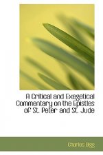 Critical and Exegetical Commentary on the Epistles of St. Peter and St. Jude