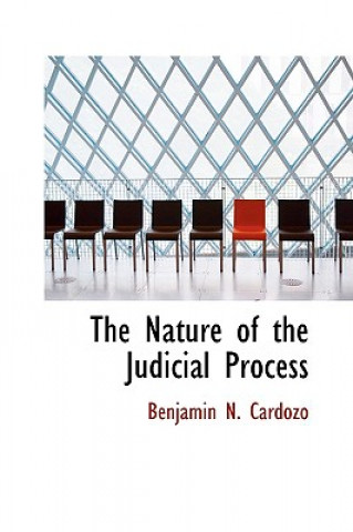 Nature of the Judicial Process