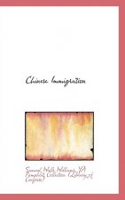 Chinese Immigration