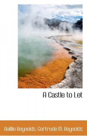 Castle to Let