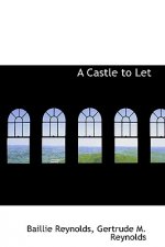Castle to Let