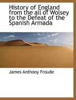 History of England from the All of Wolsey to the Defeat of the Spanish Armada