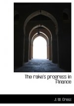 Rake's Progress in Finance