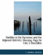 Rambles in the Pyrenees and the Adjacent Districts, Gascony, Pays de Foix, & Roussillon