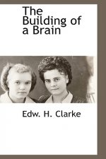 Building of a Brain