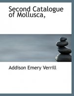 Second Catalogue of Mollusca,