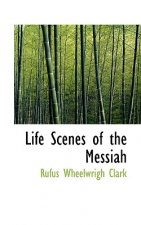 Life Scenes of the Messiah