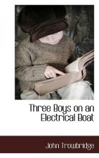 Three Boys on an Electrical Boat
