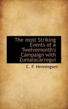 Most Striking Events of a Twelvemonth's Campaign with Zumalacarregui