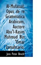 Al-Mufassal, Opus de Re Grammatica Arabicum, Auctore Abu'l-Kasim Mahmud Bin 'Omar Zamahsario.