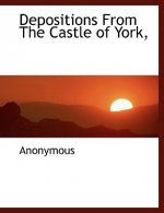 Depositions from the Castle of York,