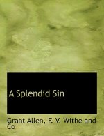 Splendid Sin