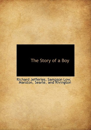 Story of a Boy