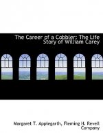 Career of a Cobbler