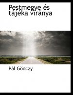 Pestmegye Es Tajeka Viranya