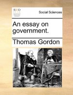 essay on government.