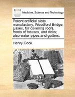 Patent Artificial Slate Manufactory, Woodford Bridge, Essex, for Covering Roofs, Fronts of Houses, and Ricks; Also Water Pipes and Gutters.
