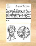 History of Witches and Wizards