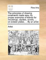 Principles of Drawing Ornaments Made Easy, by Proper Examples of Leaves for Mouldings, Capitals, Scrolls, ... on Sixteen Plates, ... by an Artist.