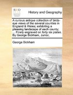 Curious Antique Collection of Birds-Eye Views of the Several Counties in England & Wales; Exhibiting a Pleasing Landscape of Each County; ... Finely E