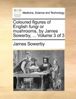 Coloured Figures of English Fungi or Mushrooms, by James Sowerby, ... Volume 3 of 3