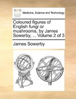 Coloured Figures of English Fungi or Mushrooms, by James Sowerby, ... Volume 2 of 3